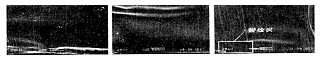 REM-Aufnahme einer Teilfrontfläche von Titanlegierungsspänen unter verschiedenen Schneidmedien