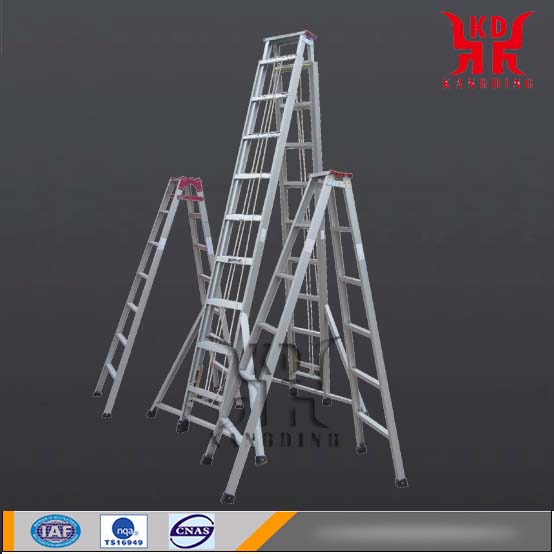 <b>Aluminum Alloy Ladder</b>